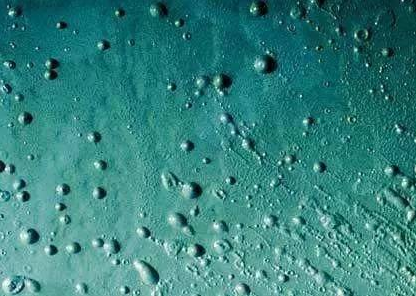 常州本洲涂料有限公司.png 常州本洲涂料有限公司.png